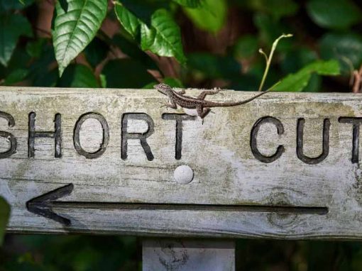 Avoid Shortcuts