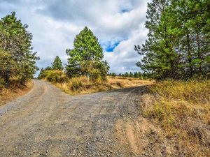 Just Who Do You Think You Are?