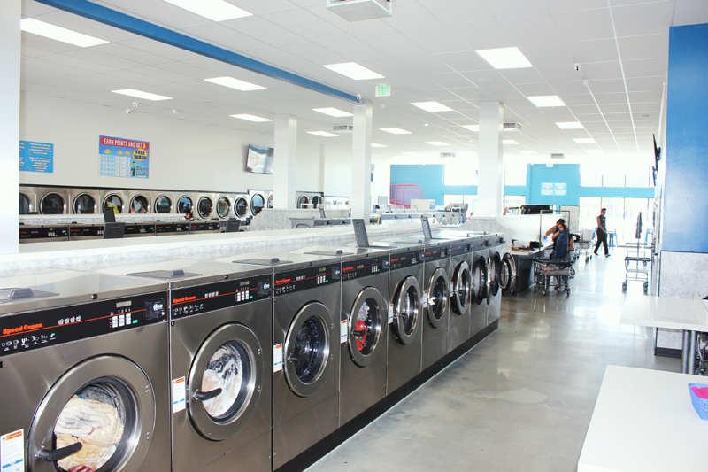 Business Bio: Alligator Laundry