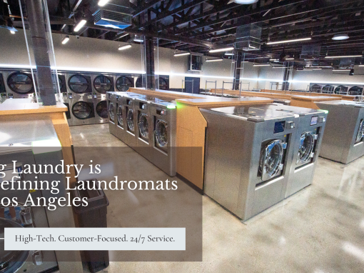 King Laundry is Kicking it in Los Angeles